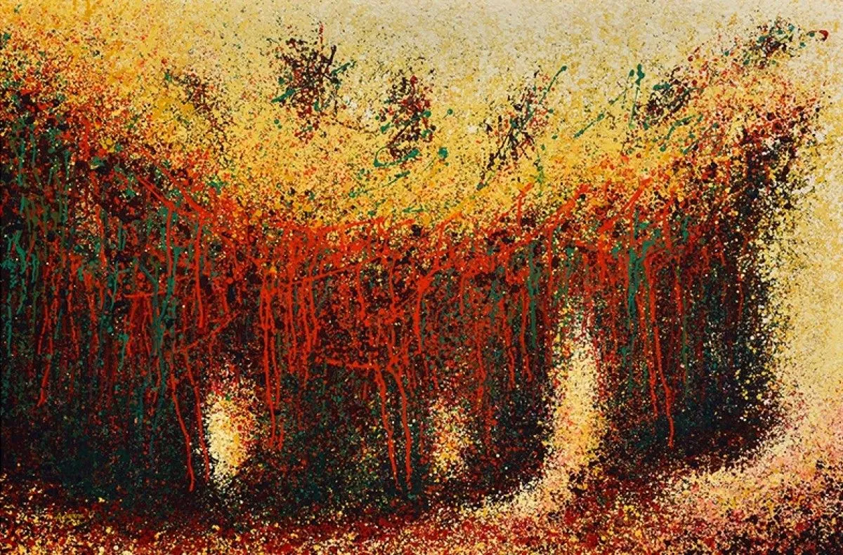 Maayaamaya, œuvre de Aparna Bidasaria