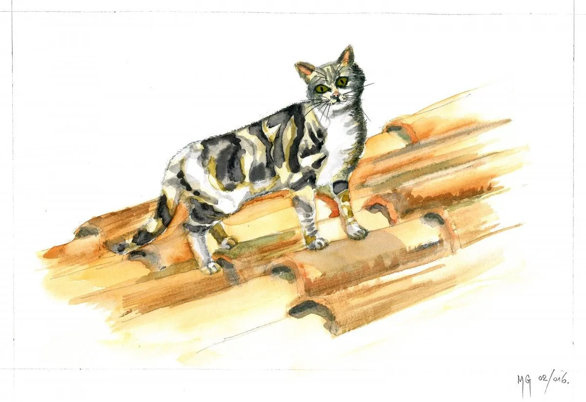 Cat 5, artwork by Goran Martinovic