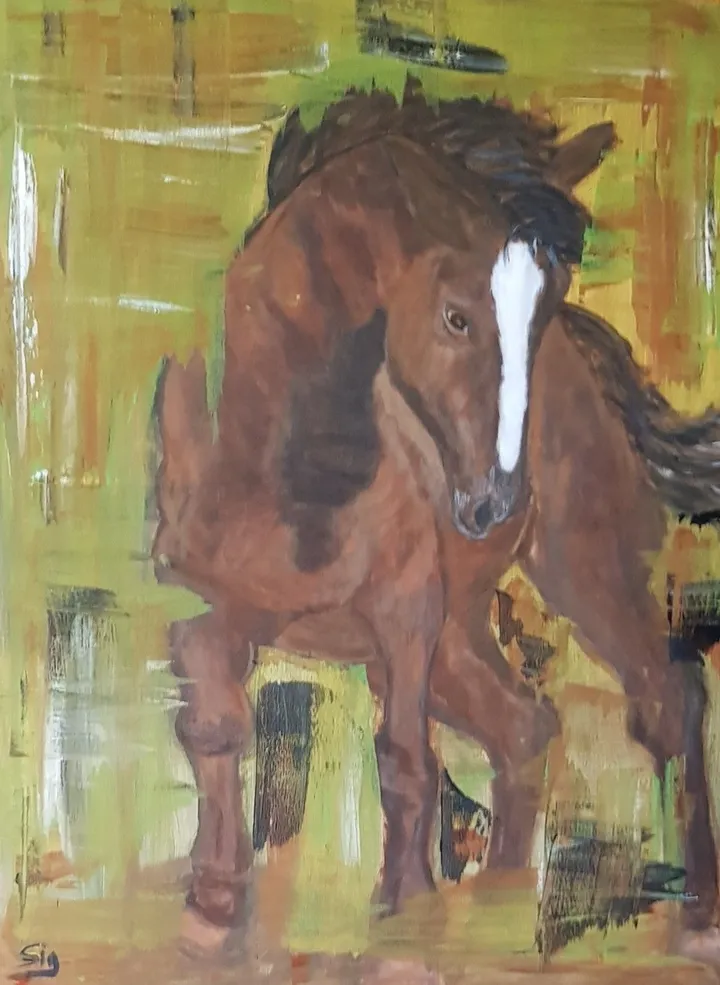 Horse, œuvre de Pascal Sig