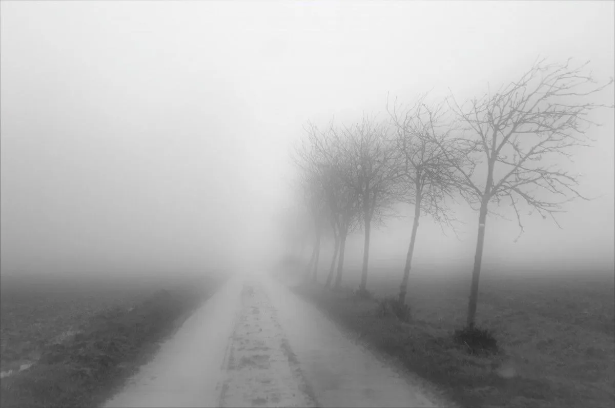 Mist you, œuvre de Julien Nalia