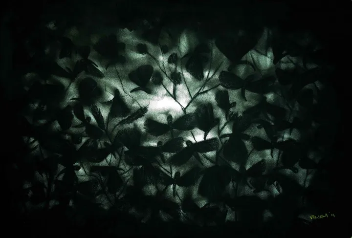 something in the dark, œuvre de vikram valsala