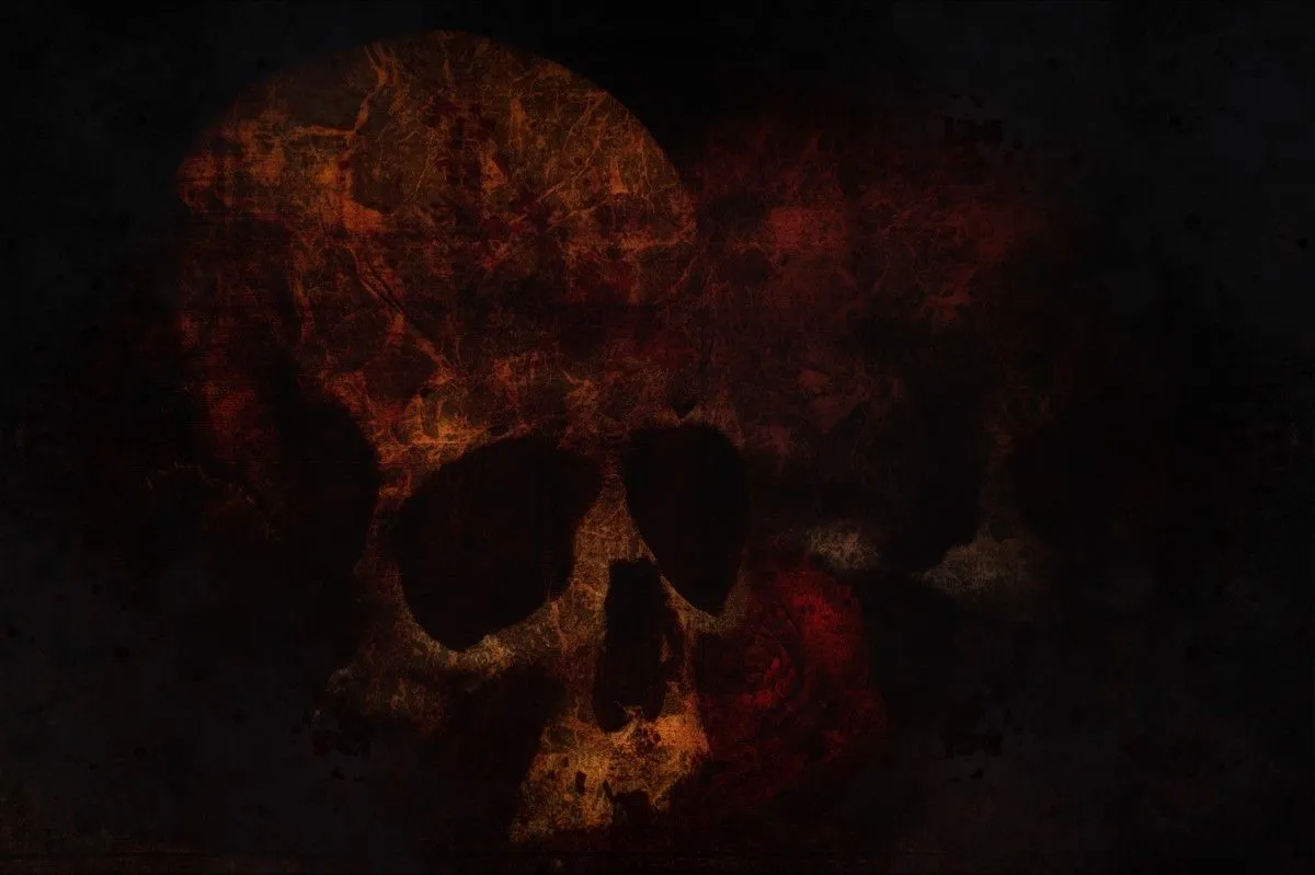Skull, artwork by Frank Ghibaudo