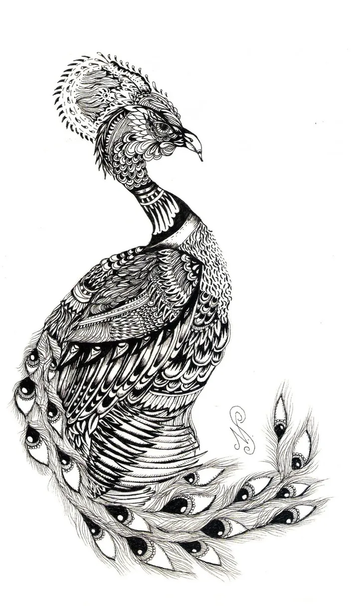 Peacock, œuvre de Nastasha Minyon Sale