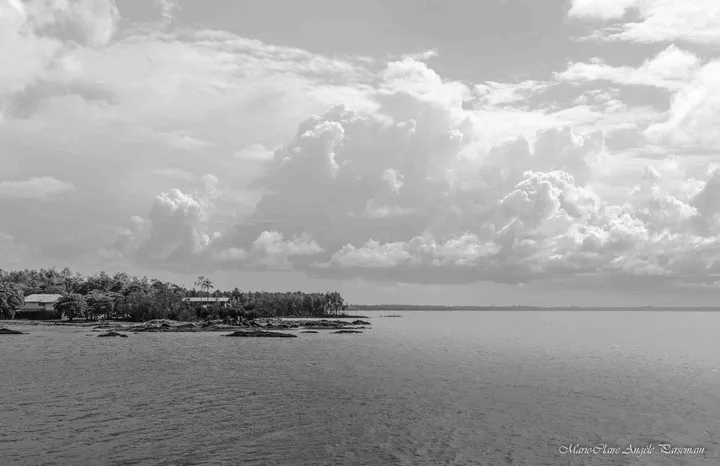 Le long du littoral, œuvre de Marie-Claire PARSEMAIN