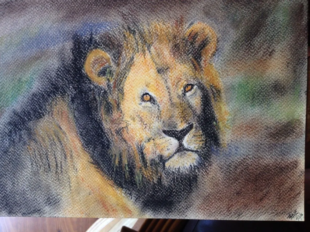 Lion, artwork by Fanie Buys