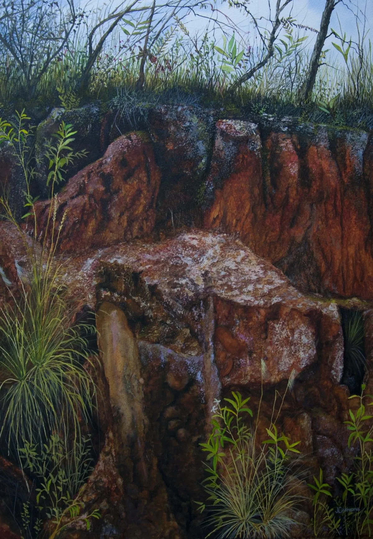 Land is made of all colors, œuvre de Julianna Carmona