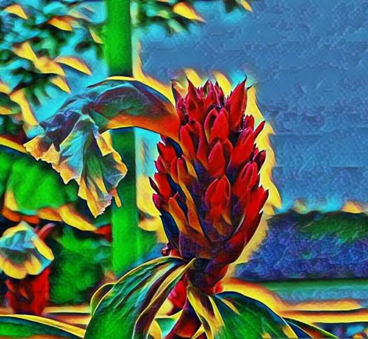 Cromatismo floreciente, artwork by Adolfo Constenla