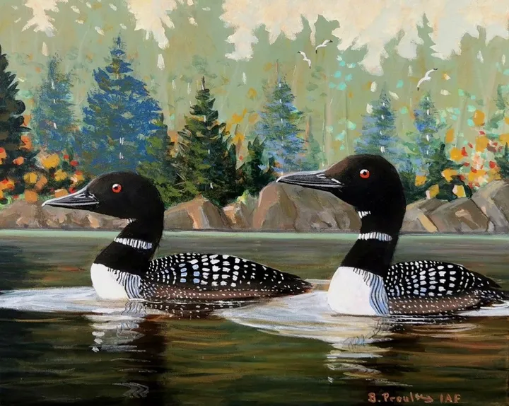 Par un matin tranquille (Huards), œuvre de Bernard Proulx