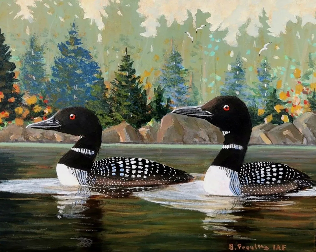 Par un matin tranquille (Huards), artwork by Bernard Proulx