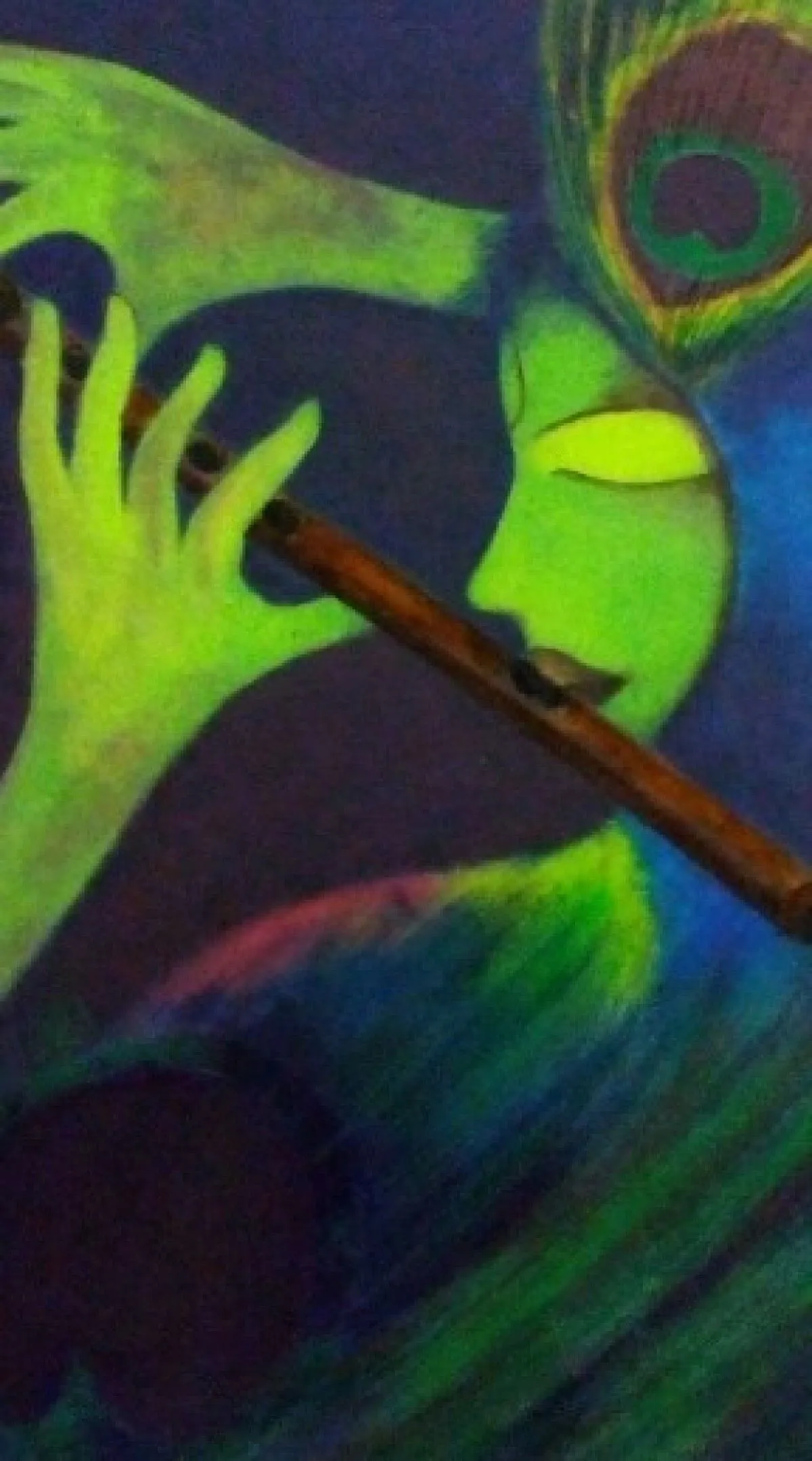 krishna (peacock feather), œuvre de Shubhangi Telang