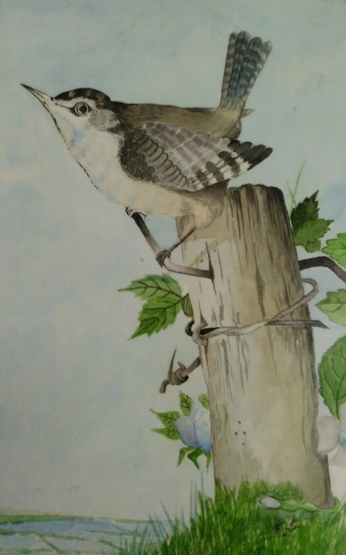 The sparrow, œuvre de sonu sanss
