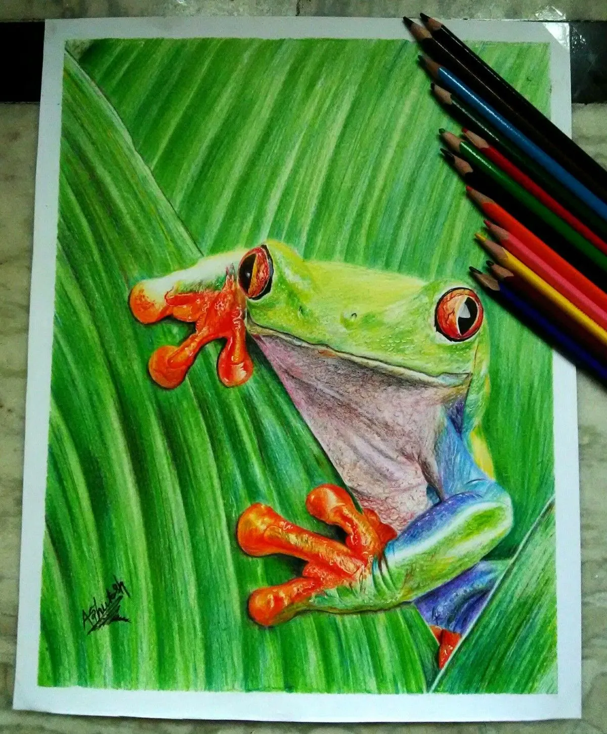 Tropical frog, artwork by Ashutosh Tiwari