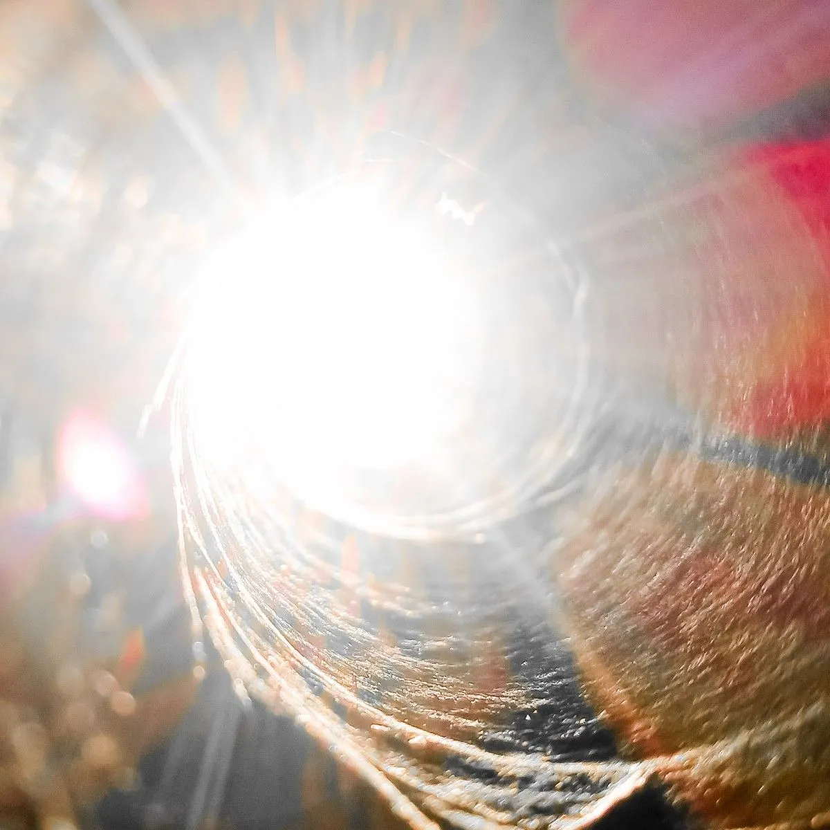 Shine, artwork by Patrick van