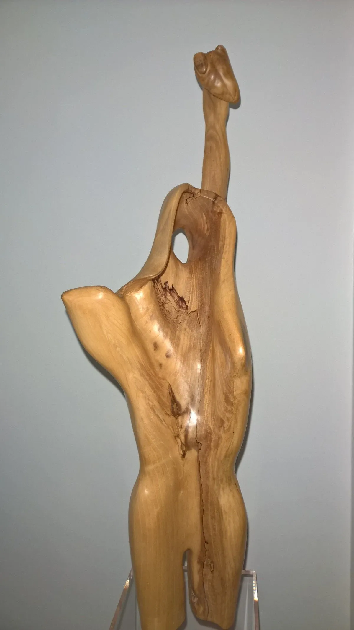 Körper-Wood, artwork by Jan Van Braekel