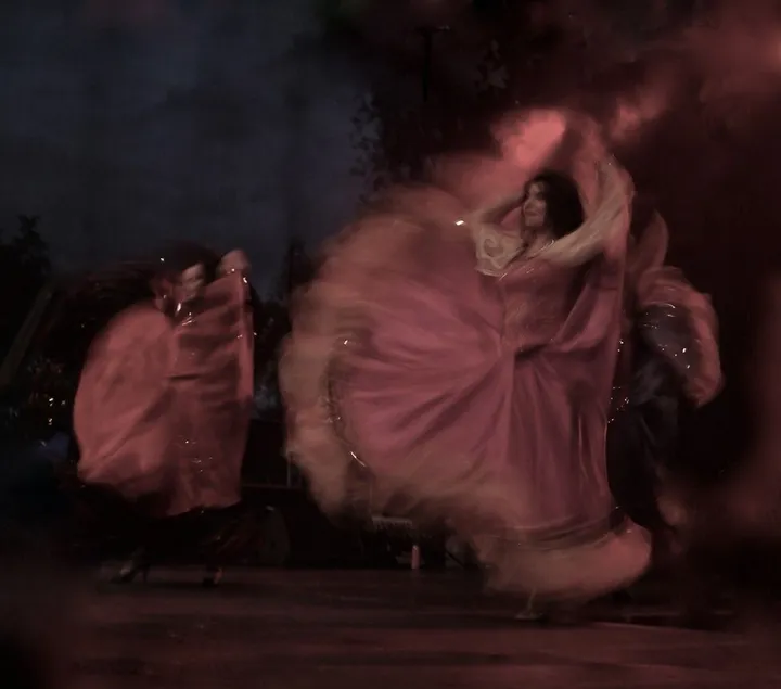 Dancing in the moonligh, artwork by Claudia Stanetti