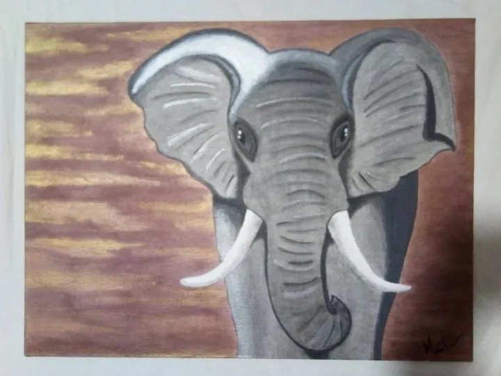 Ivory Savane Sunset, œuvre de Elise Martin