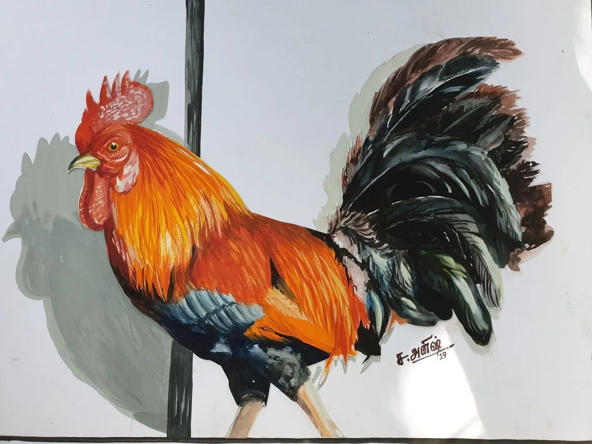 Cock, artwork by Anish Dhas