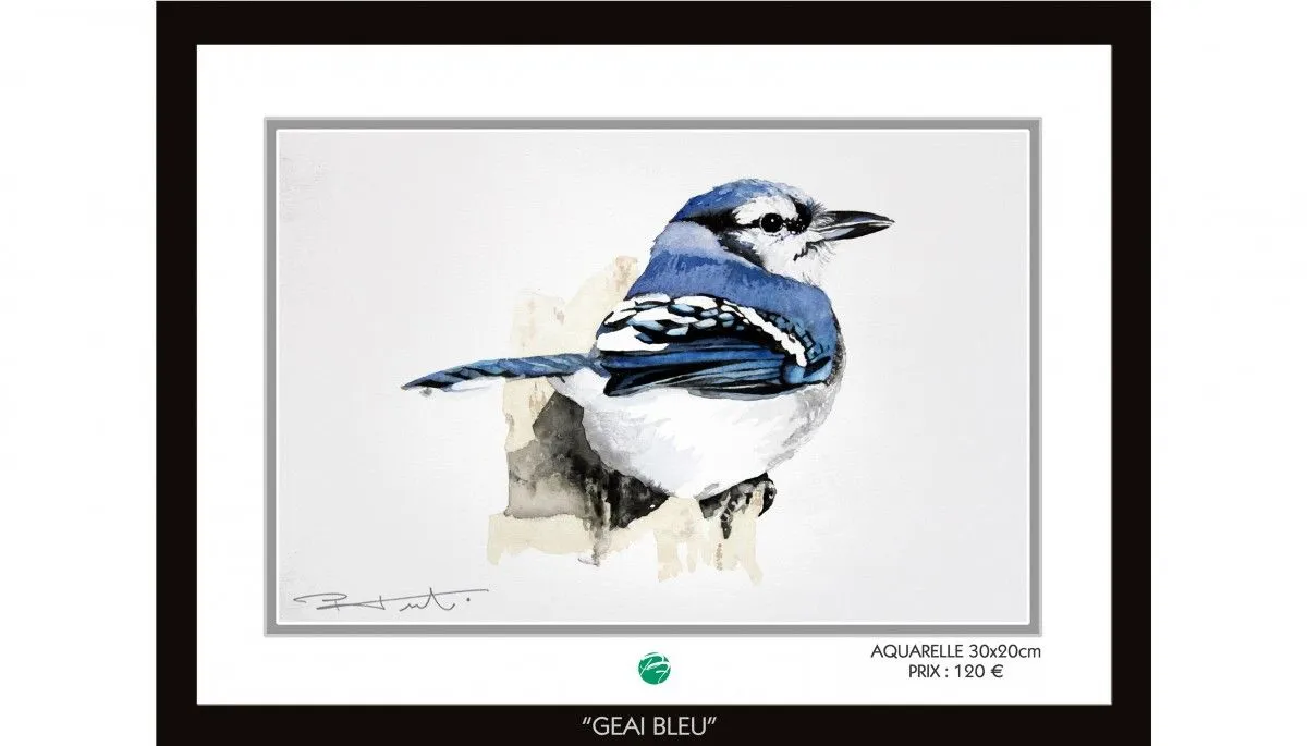 "GEAI BLEU", œuvre de Pierre Frutschi