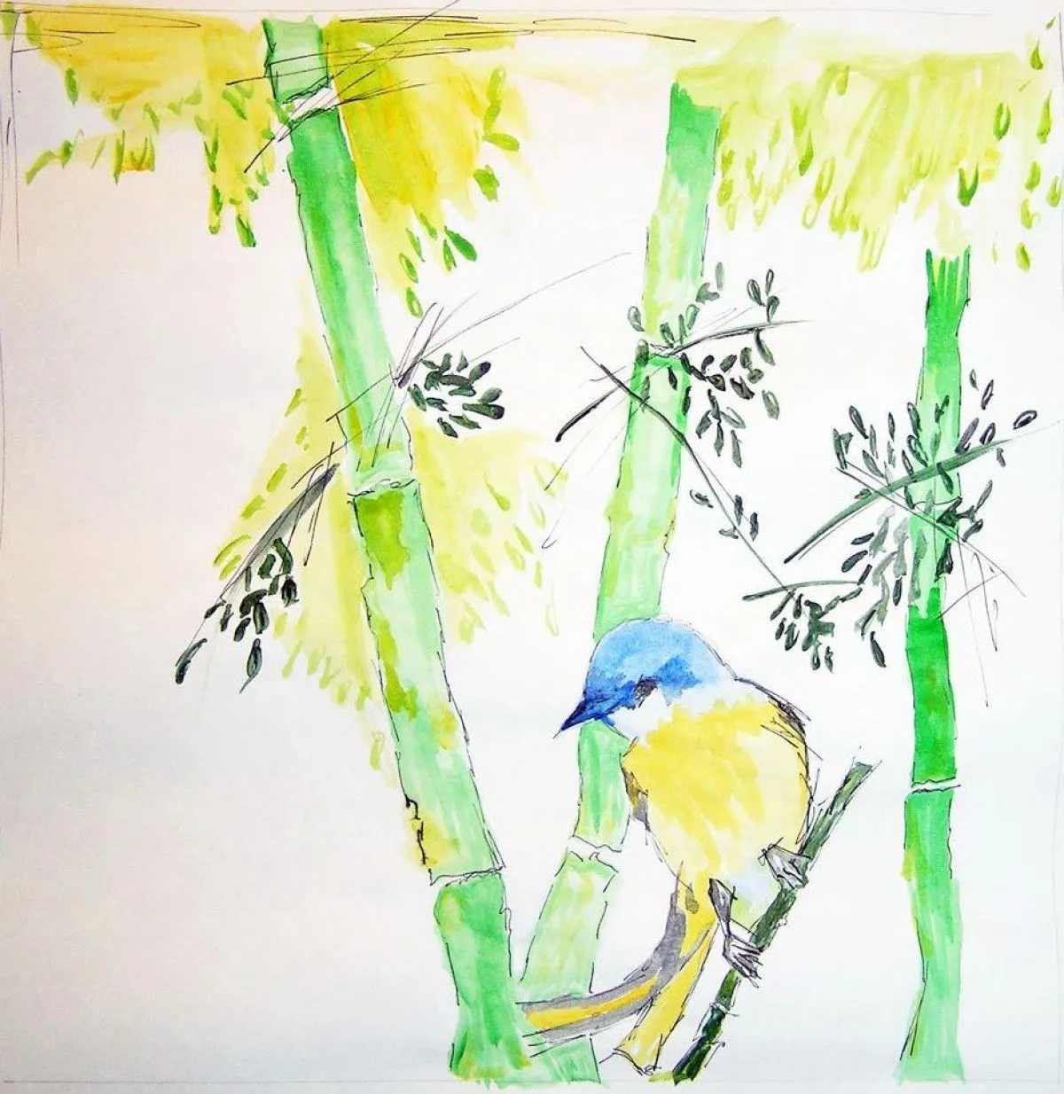 bird on bamboo, artwork by Marina Bogonikolou