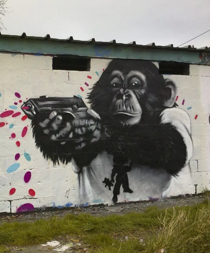 colors gun, œuvre de Zouwi .