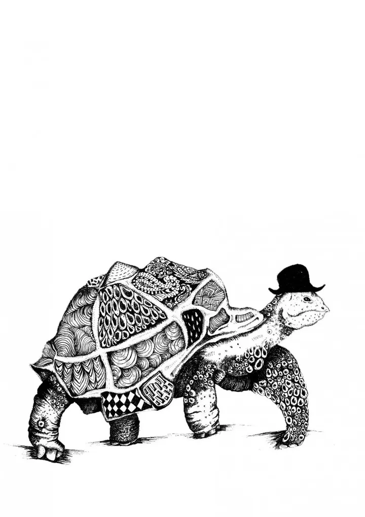 Herman the tortoise, œuvre de Nastasha Minyon Sale