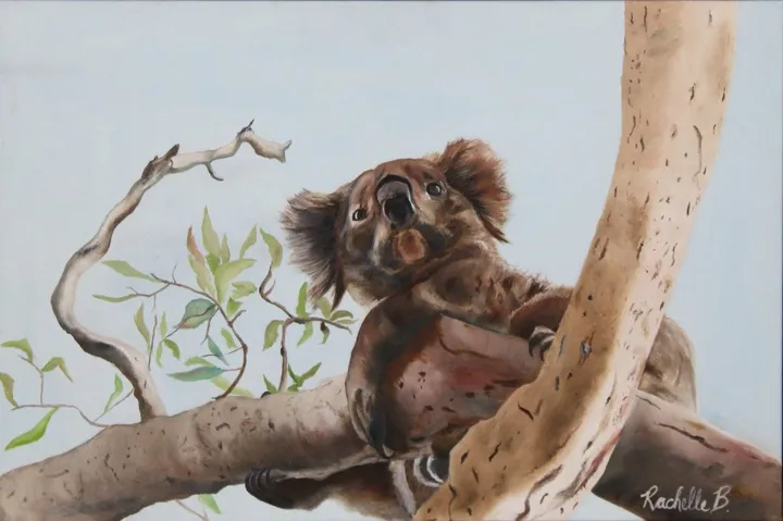 Koala, œuvre de Rachelle Beaudry