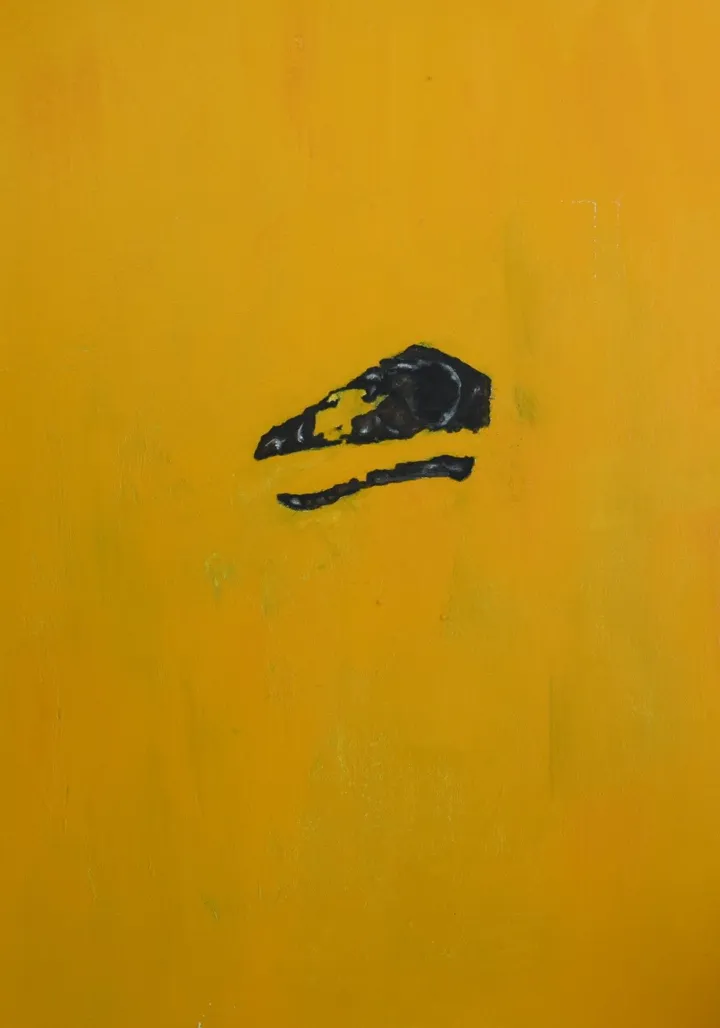 ~Pop Art skull, œuvre de Olimpia Mazzei