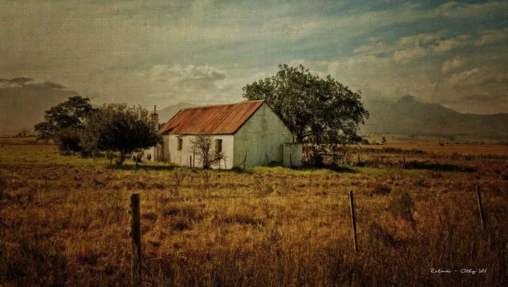 Outeniqua, œuvre de rolando olly