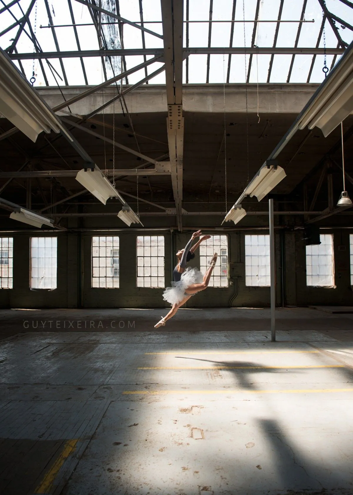 TIMELESS FREEDOM  / SERIE, œuvre de GUY TEIXEIRA