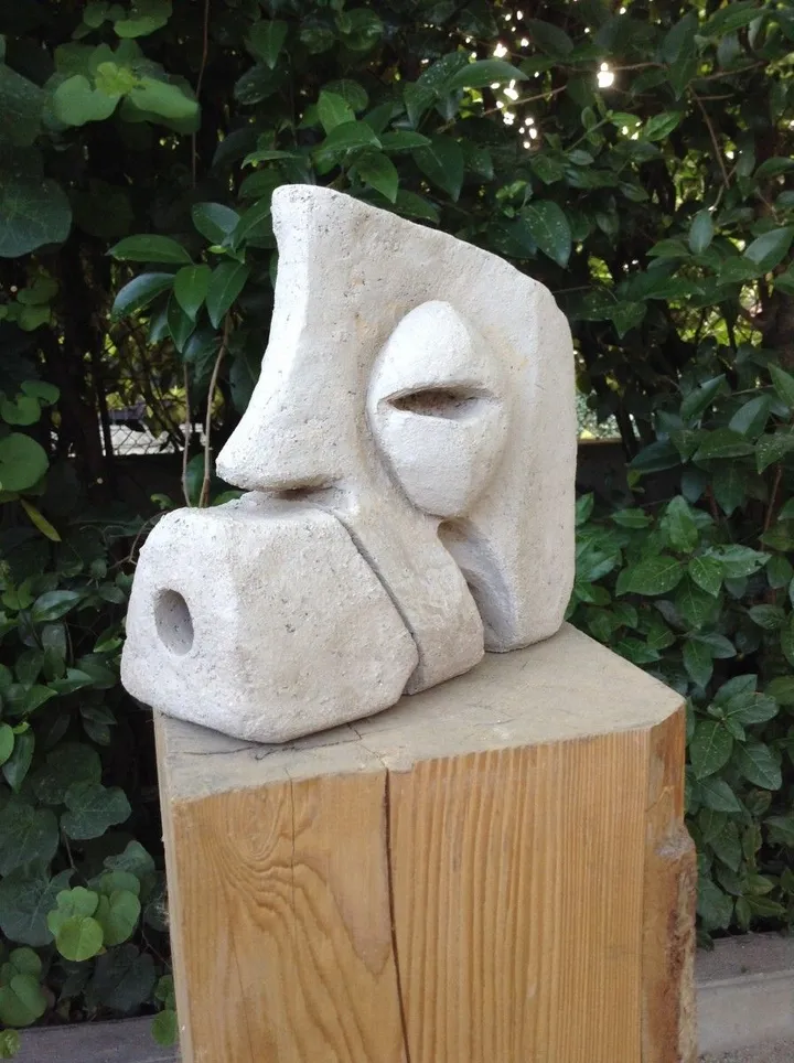Face N°64, œuvre de Gaël ANASSE
