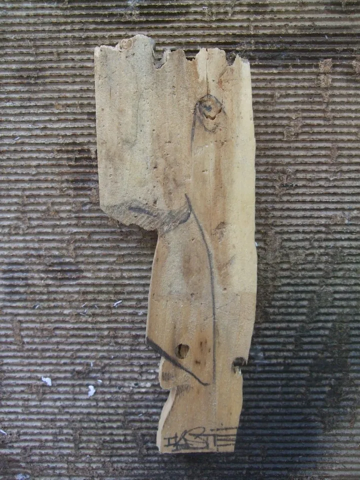 Chute de bois, œuvre de iksté art'
