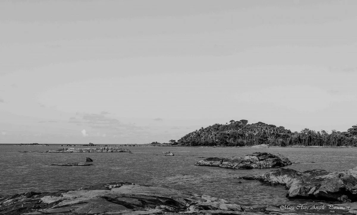 Sur l'île de Cayenne, œuvre de Marie-Claire PARSEMAIN