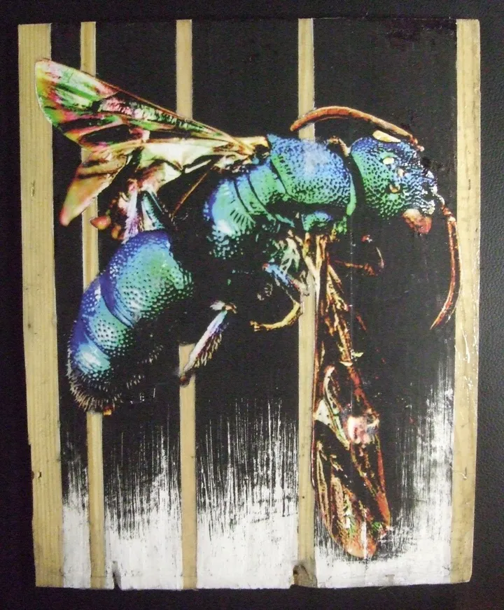 bee, œuvre de iksté art'