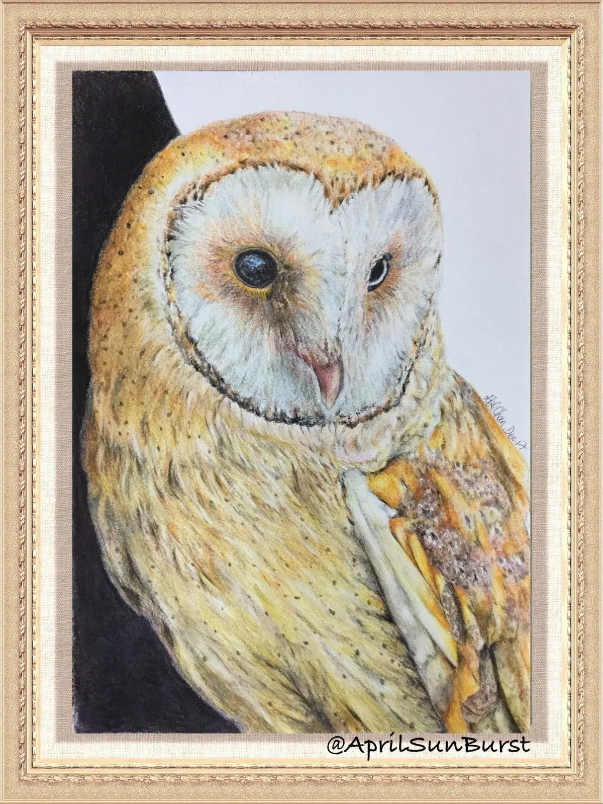 Barn owl, œuvre de april chan