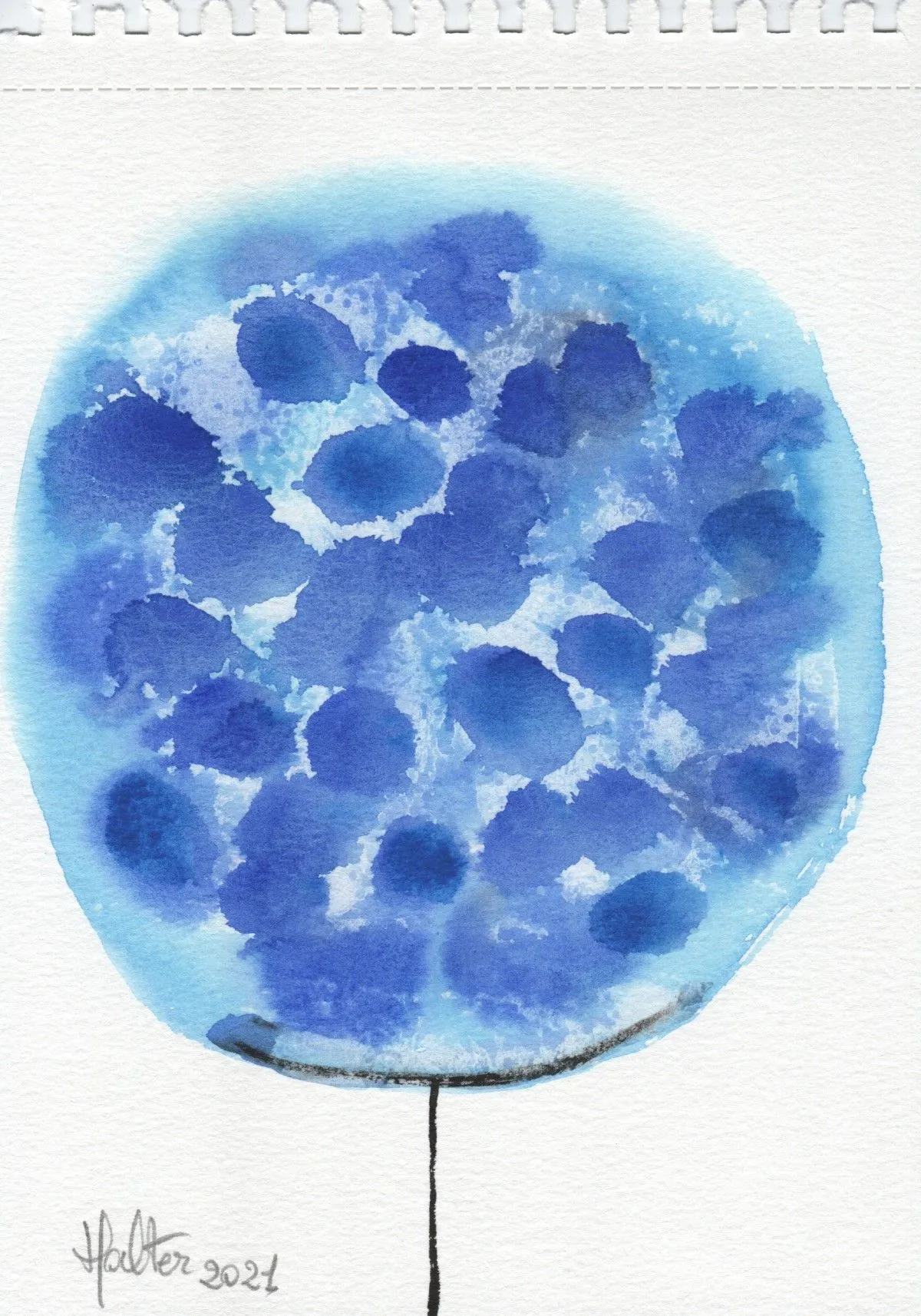 Boule de fleur bleue, artwork by Alain HALTER