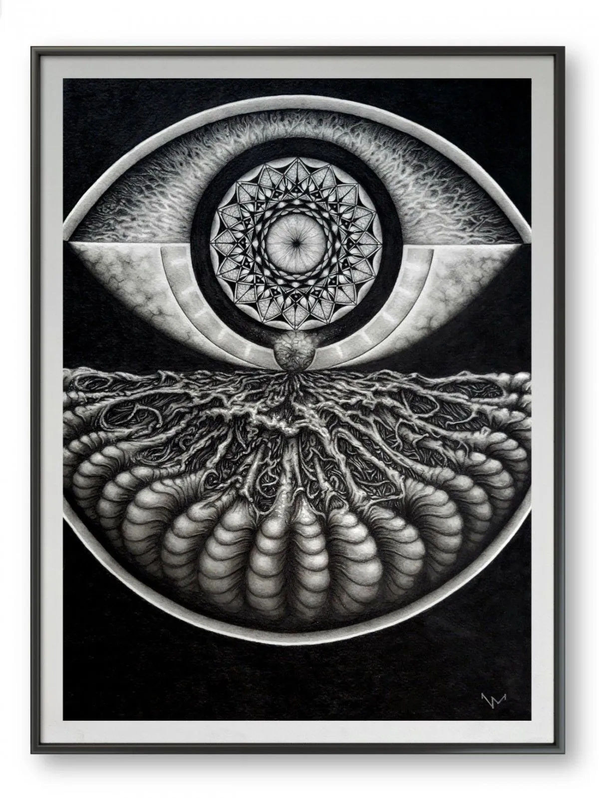 Horizons, œuvre de Nature Mutante