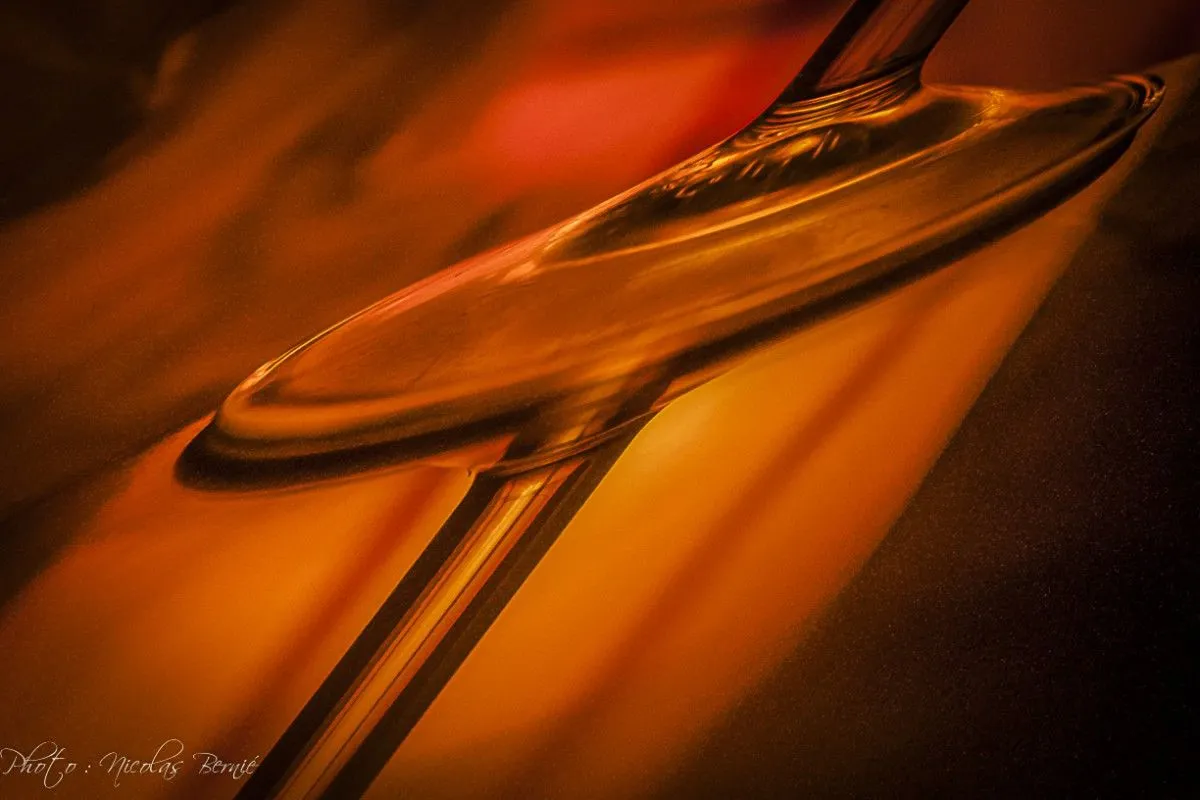 La soucoupe volante, artwork by Nicolas Bernié