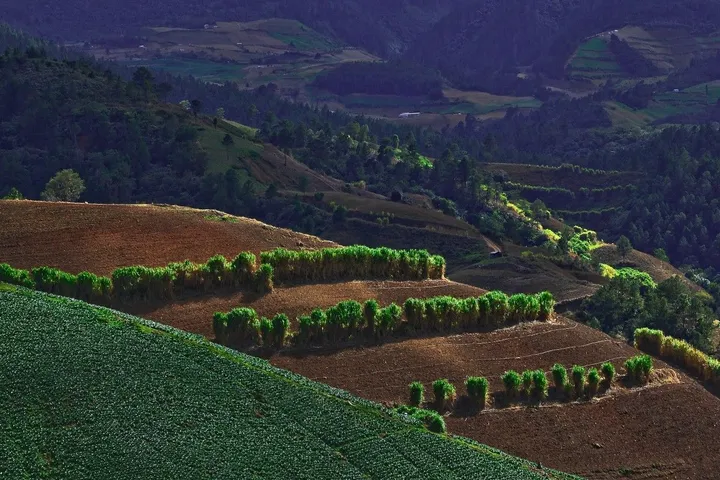El Convento, œuvre de Shiro ARIYAMA