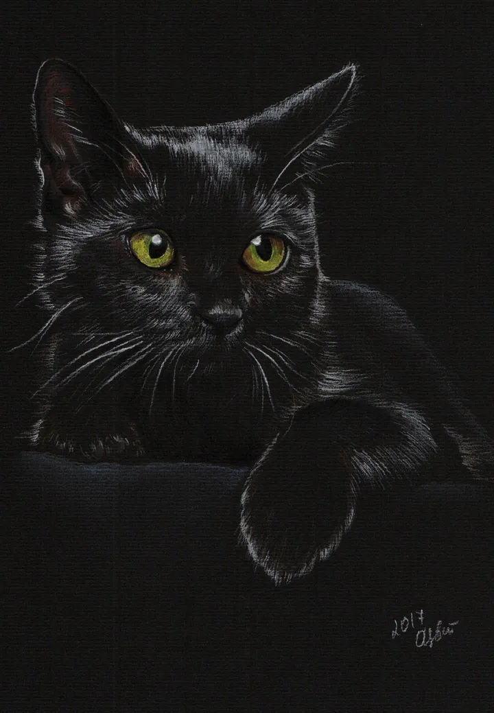 Black Cat, œuvre de Olga Tsvetkova