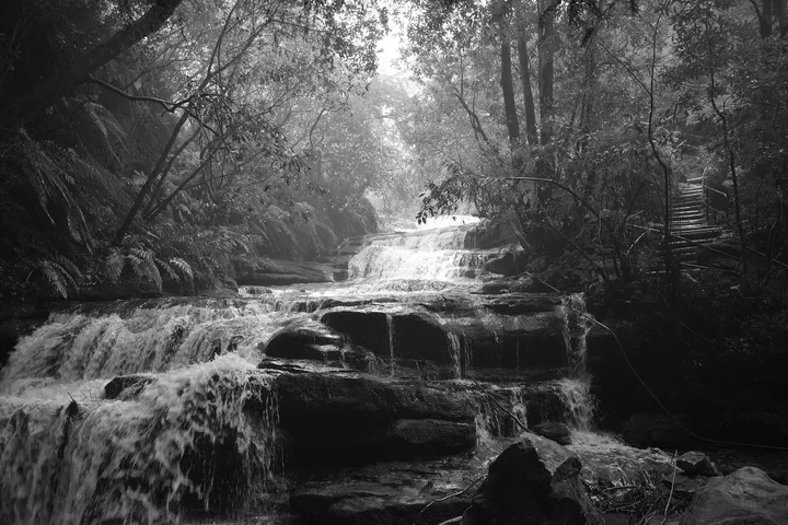 Rainforest Falls, œuvre de Greg Sandoval