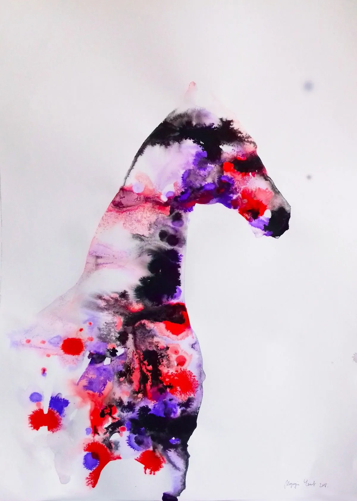 appaloosa horse portrait, artwork by marija colic