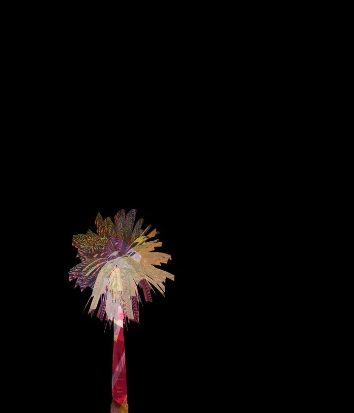 Palm Star No.2, œuvre de Bencu _