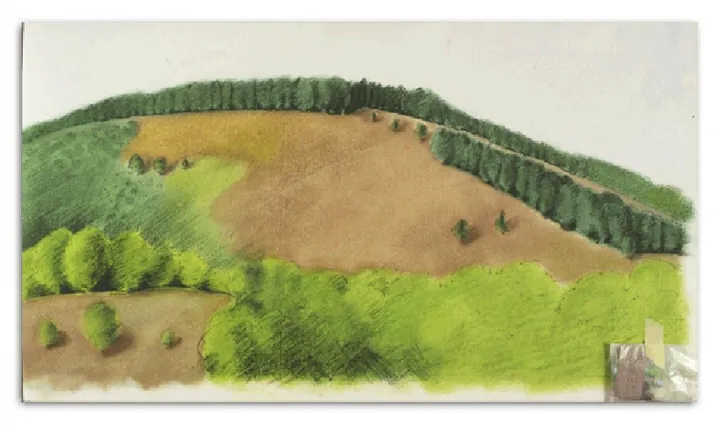 Paysage au coulis de kiwi, artwork by Christine Gasarian