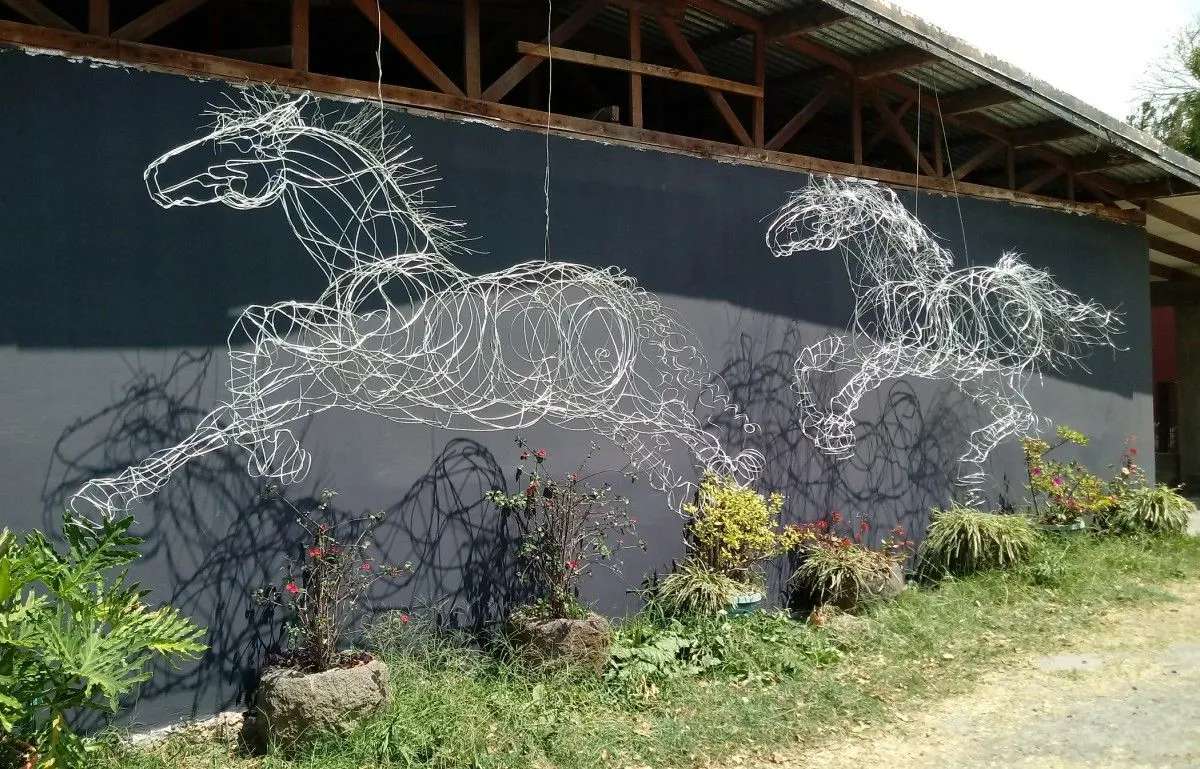 HORSES WITHOUT A NAME, œuvre de cynthia saenz