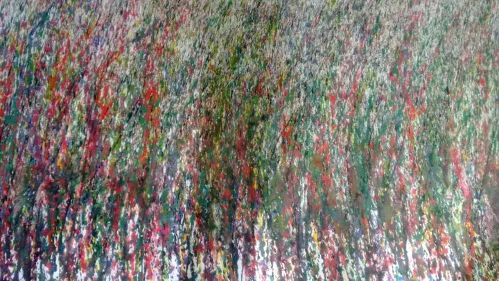 Galhos no Campo, œuvre de Jose Luiz dos Santos