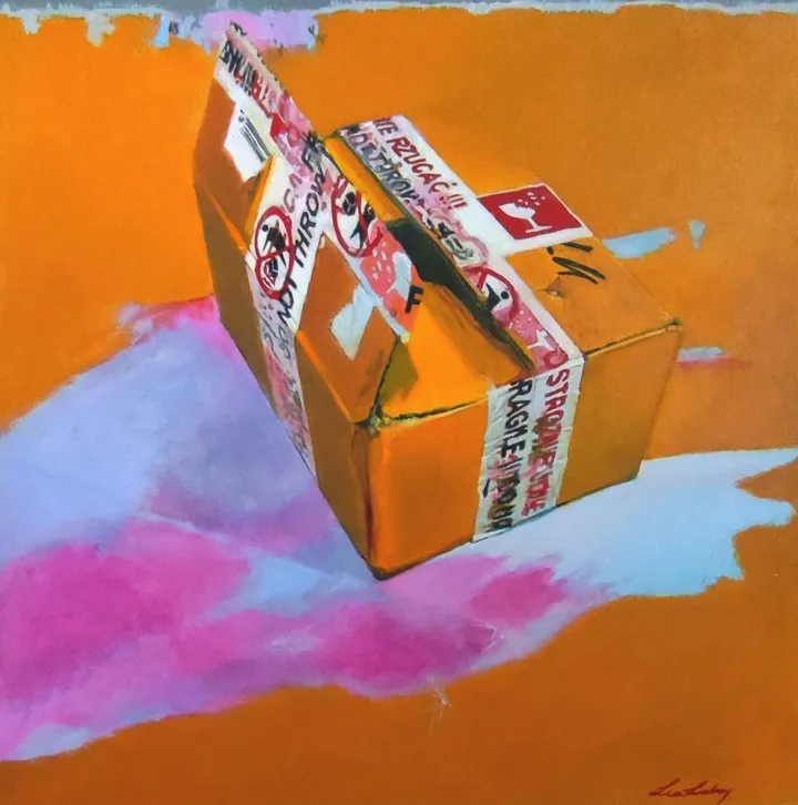 Box, œuvre de Lea Laboy
