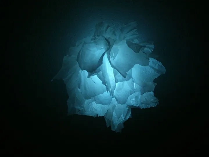 cold flower, œuvre de Ventsislav Georgiev