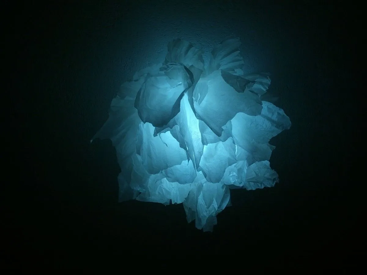 cold flower, œuvre de Ventsislav Georgiev