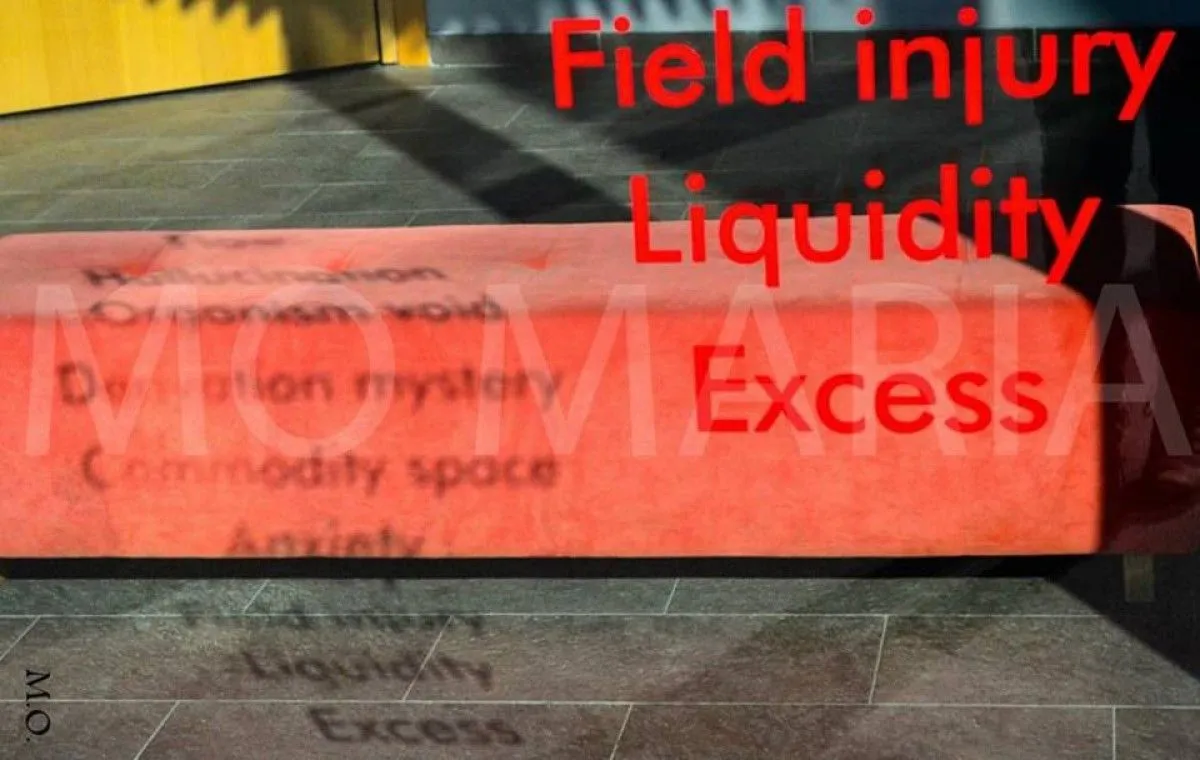 "Complex , Fluxes", œuvre de Mo Maria sarkis