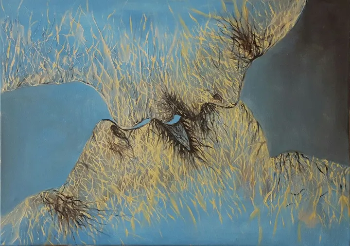 convergence, œuvre de kamila nabi